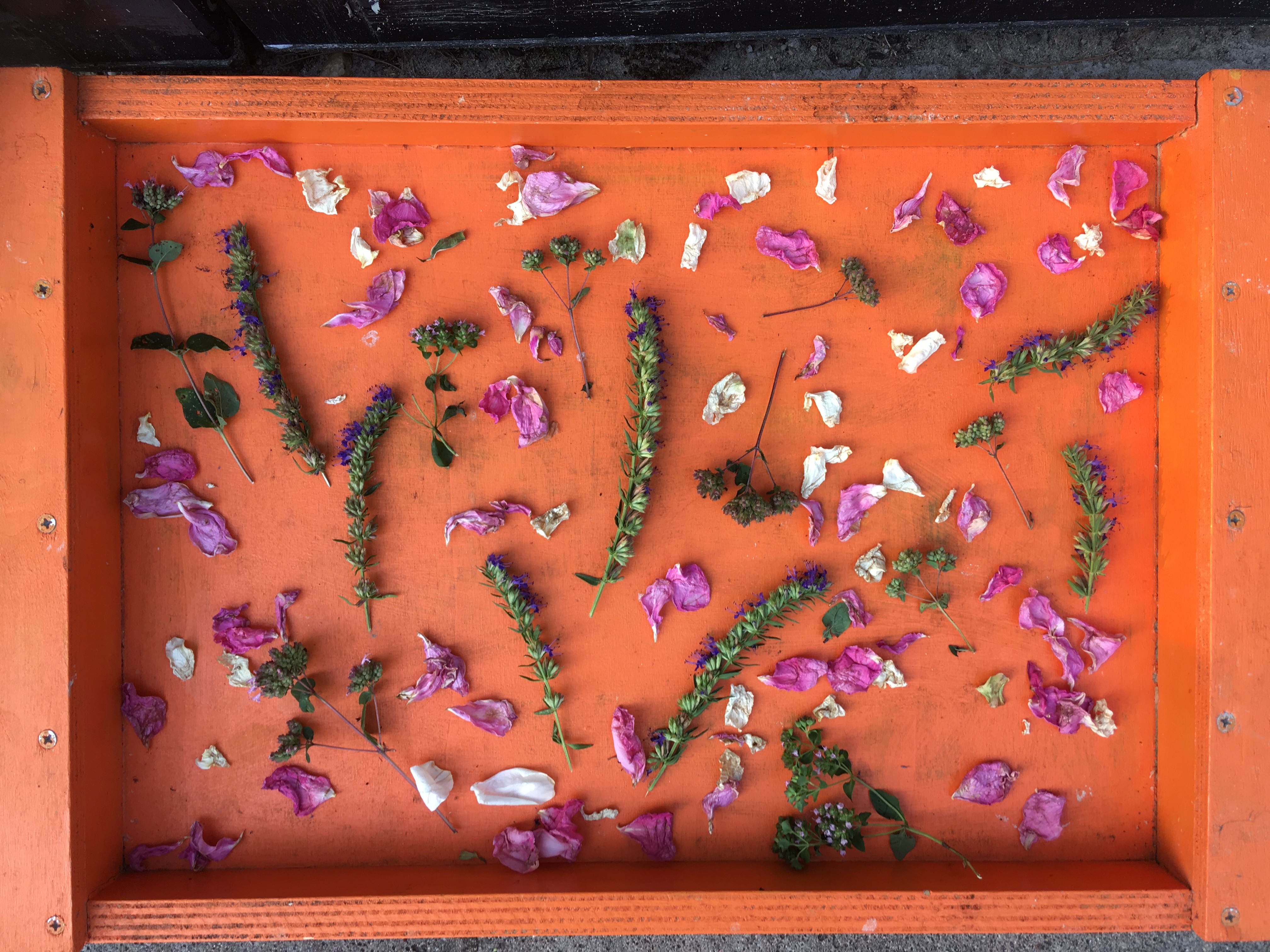 Lavendel zeep plaatje